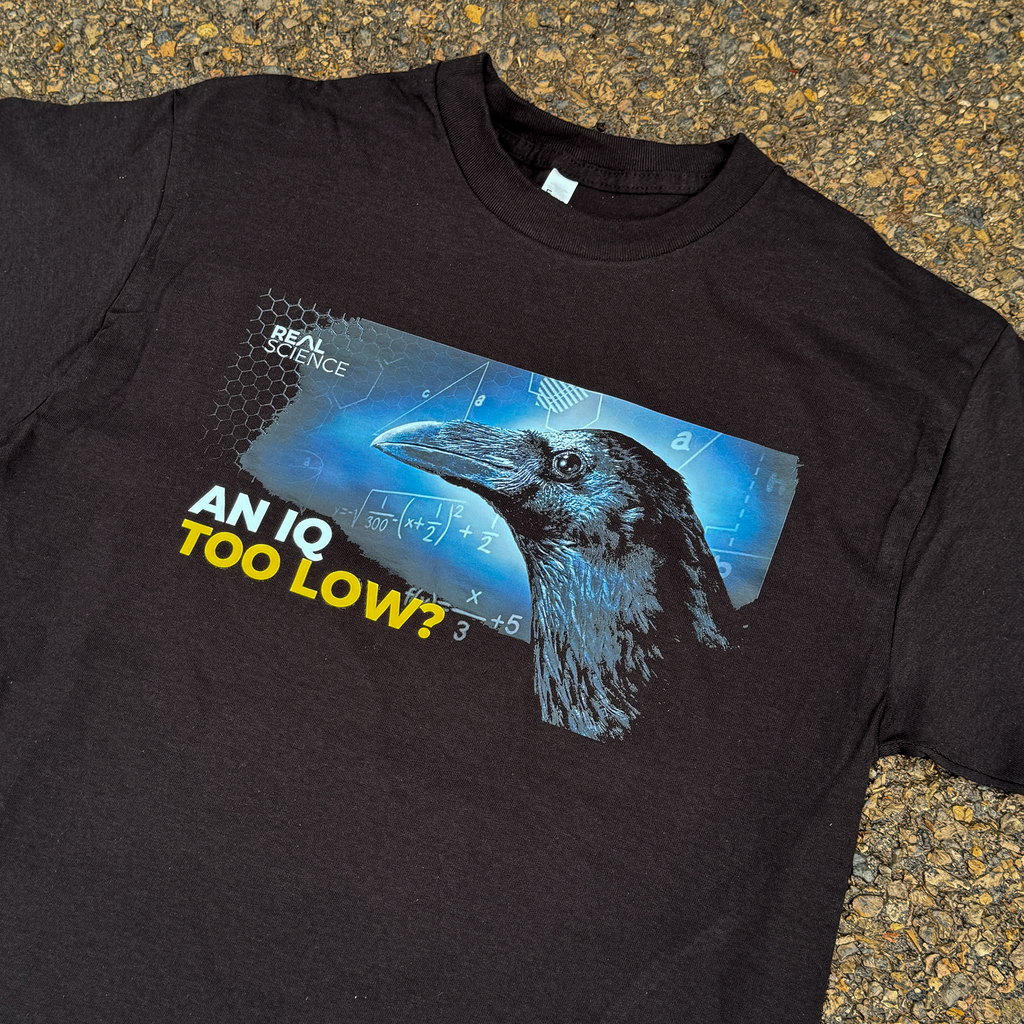 Low IQ/ High IQ Crow Meme 100% Cotton T-Shirt