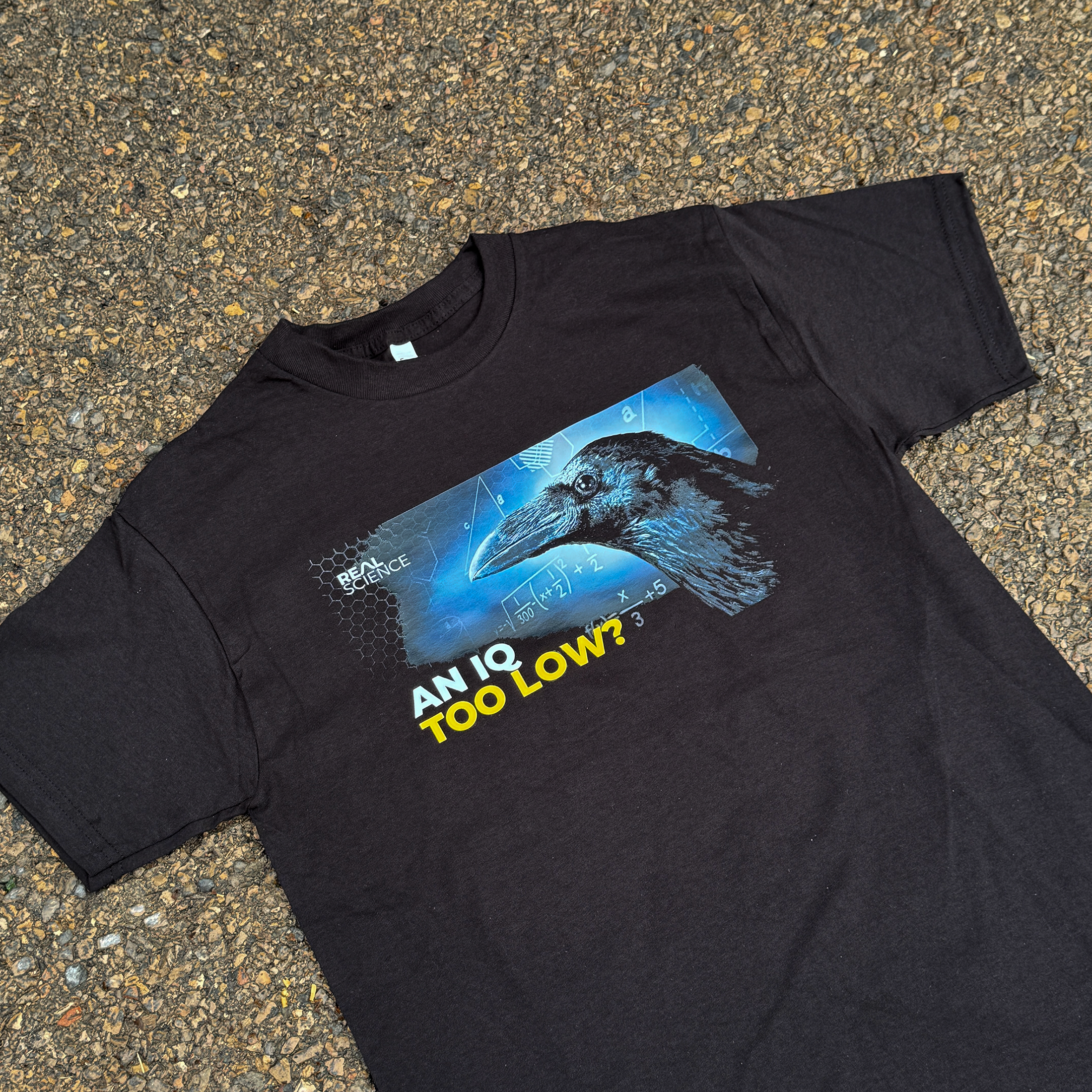 Low IQ/ High IQ Crow Meme 100% Cotton T-Shirt
